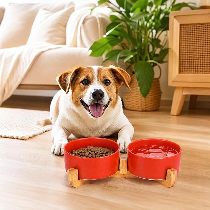 Petygooing Dog Bowls,Ceramic Cat Dog Bowl Set with Wood Stand for Food and Water,Non-Slip Cute Modern Pet Dish for Cats Small Size Dogs Puppy (13.5OZ/5.1 in) Rust Red