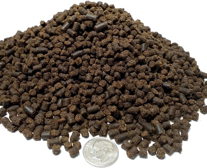 Axolotl Food, 3/16" Soft Moist Sinking Pellets, Rangen's Salmon Meal Pellets for Medium & Adult Axolotl. Also Shrimp, Snails, Crabs, All Tropical Fish…1-lb 14.3oz Clear Bag