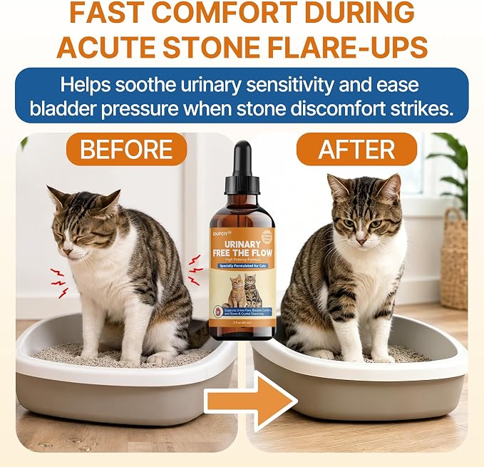 Bladder & Kidney Stones Dissolver for Cats - Naturally Break out Cat Crystals and Stones -Cat Uti Remedy,Vet-Formulated Cat Bladder Support for Urine Incontinence, Painful Urination & From-Root Relief