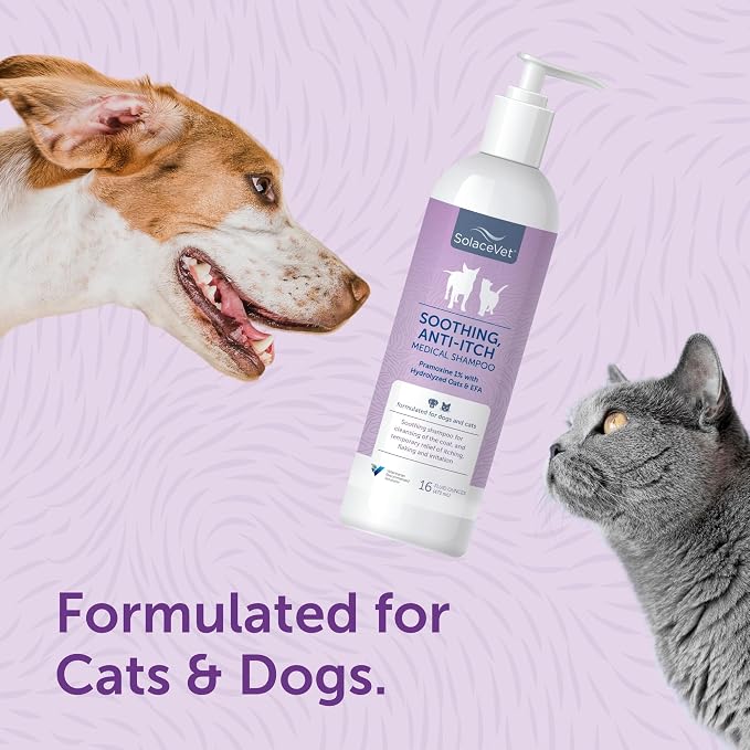 SolaceVet Soothing Anti-Itch Medical Shampoo 16 oz – Veterinarian Recommended Soap-Free Formula for Dogs & Cats with Pramoxine & Hydrolyzed Oats