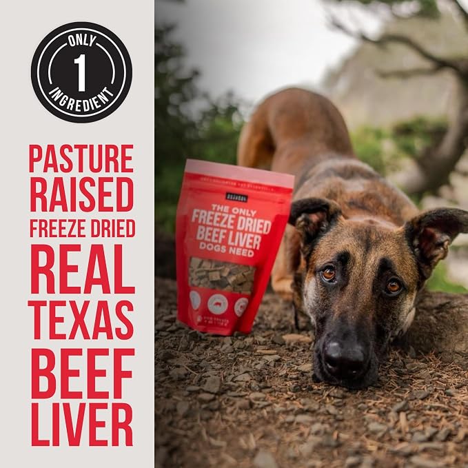 Natural Rapport Freeze Dried Beef Liver Dog Treats - Single Ingredient, USDA Beef, Training Treats for Small & Large Dogs (4 oz, 250+ Treats)