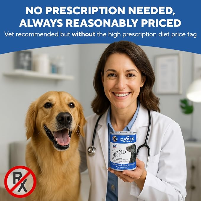 Dave's Pet Food Bland Diet Dog Food (Turkey & Rice), Sensitive Stomach, Easy to Digest Pate, Gluten-Free, Digestive Care, Low Fat (5%) Limited Ingredients, Complete & Balanced, 13.2 oz (Case of 12)