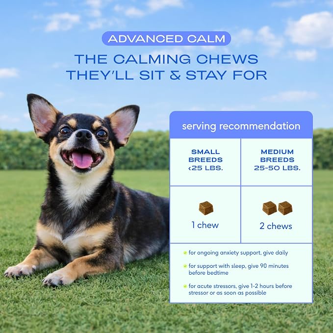 Native Pet Advanced Calming Chews for Dogs - Anxiety Relief, Stress, Separation, Travel & Sleep Support with Melatonin for Dogs, Hydrolyzed Casein, Valerian Root & L-Tryptophan -120 Chews