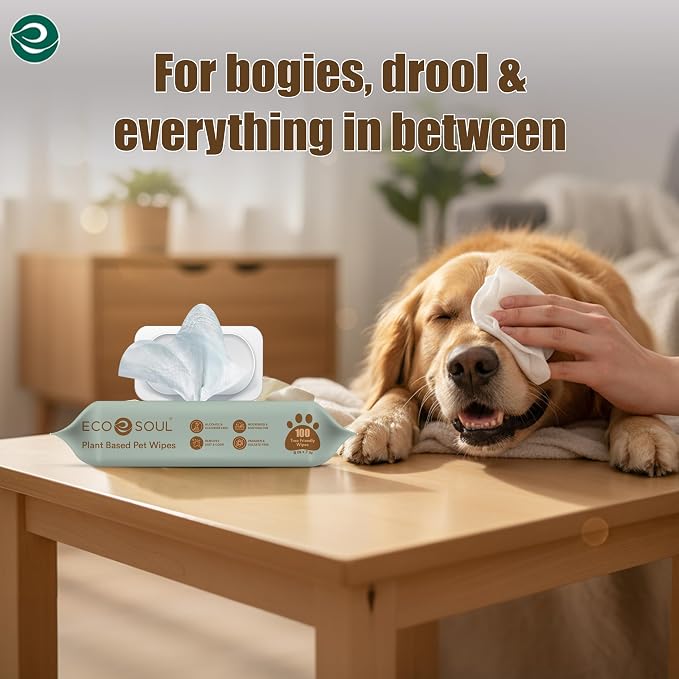 ECO SOUL Pet Wipes for Dogs & Cats, Unscented Large Cleaning Wipes with Aloe Vera & Jojoba Oil | (100 Count Each, Pack of 4)