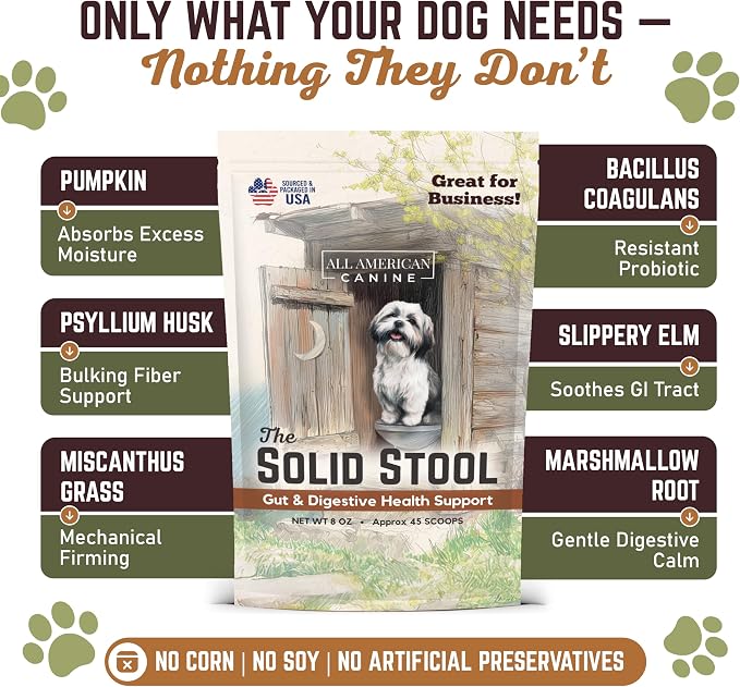 All American Canine The Solid Stool Pumpkin for Dogs Stool Hardener & Fiber - Anal Gland Support Powder with Probiotics & Digestive Enzymes - Fast Acting Gut Health - Made in USA - Beef Broth, 8oz