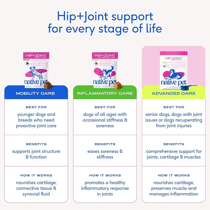 Native Pet Hip and Joint Supplement Dogs - Powder with UC-II Collagen and HMB - Senior and Large Breed Dog Joint Support - Made in USA - 30 Scoops