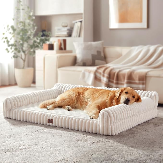 Orthopedic Dog Bed Extra Large Pet Beds with Removable Washable Cover, Couch-Like Sofa Design for S to XXL Dogs Up to 120 lbs, with Soft Short Plush Surface & Foam, 48x35x10.5 Inch, Cream