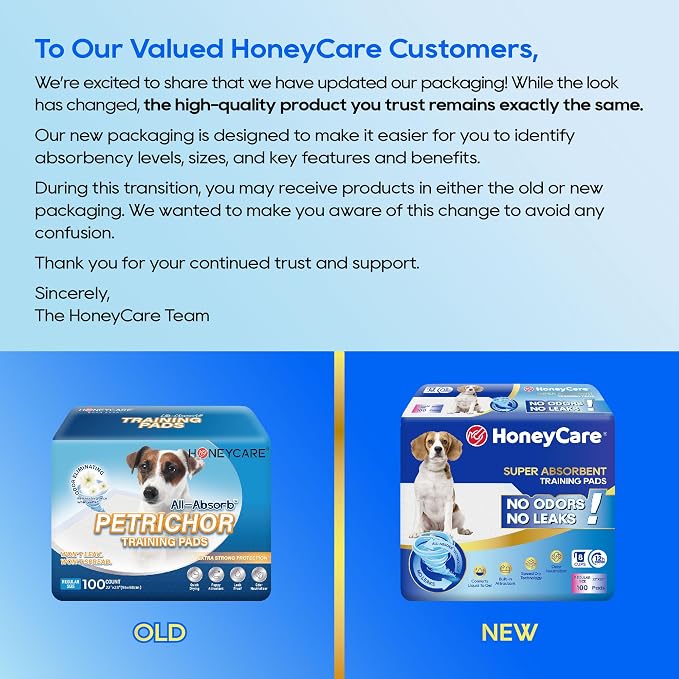 HONEY CARE All-Absorb A07 Bulk Packaging Training Pads, Blue, Large - 22" x 23" 200ct
