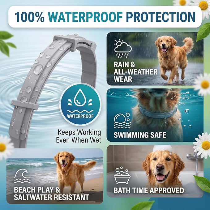 Flea Collar for Small Dogs 2 Pack - 12 Month Natural Flea and Tick Prevention for Dogs, Waterproof Puppy Flea Collar with Continuous Release, Adjustable Dog Collar