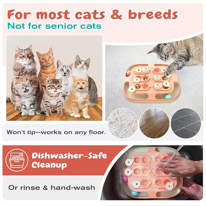 KADTC Large Size 2-in-1 Cat Puzzle Feeder Toy & Track Balls for Indoor Cats | Treat puzzle + 2 track balls, 2 levels, no loose parts deliver longer, advanced mental stimulation and active energy burn.