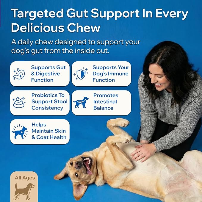 Dog Probiotics for Digestive Health & Gut Health | Probiotics for Dogs w/Prebiotics & Digestive Enzymes | Dog Probiotics for Diarrhea, Bad Breath, Immunity | Constipation & Gas Relief for Dogs | 90ct