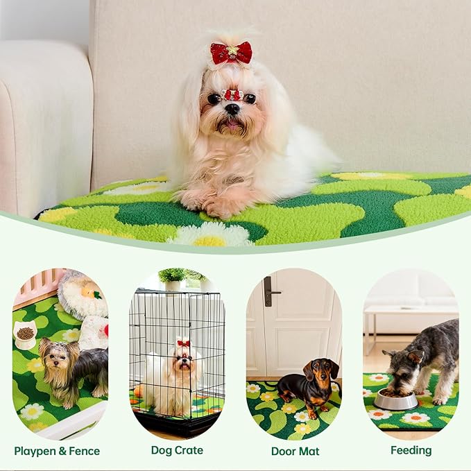 Qeils Reusable Puppy Pads for Small Dogs, Washable Pee Pads with Non-Slip , Absorbent Leakproof Mat for Crates, Playpens, Pet Beds & Whelping, Indoor Potty Training Grass Green, 18"x24", 6 Pack