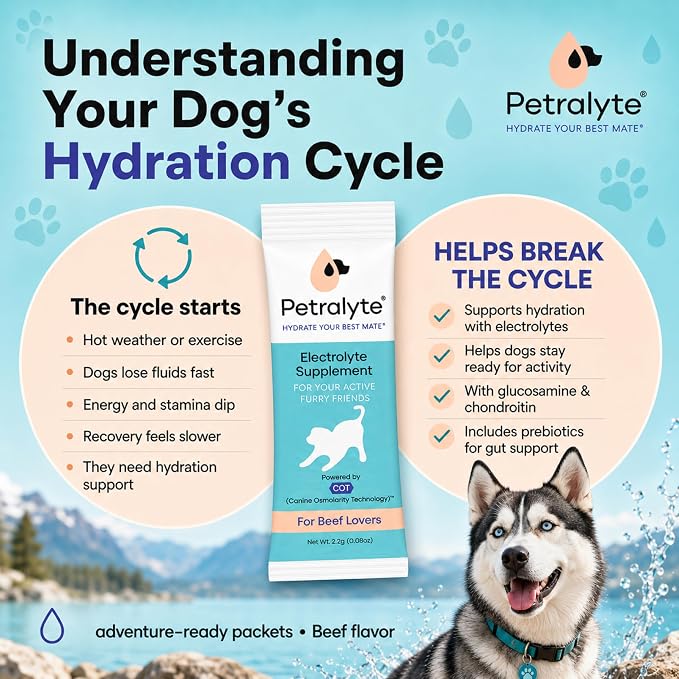 Petralyte Dog Electrolytes and Joint Supplement | Hydration Support for Dogs w/Glucosamine, Chondroitin & More | Electrolytes for Dogs with Prebiotics | for Beef Lovers | 32 Packets