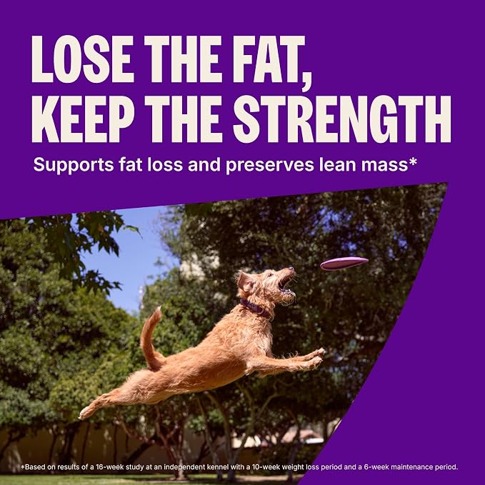 Wellness CORE Healthy Weight Adult Dry Dog Food, Grain Free Kibble, Natural, High Protein, Turkey and Chicken Recipe, 26 lb Bag