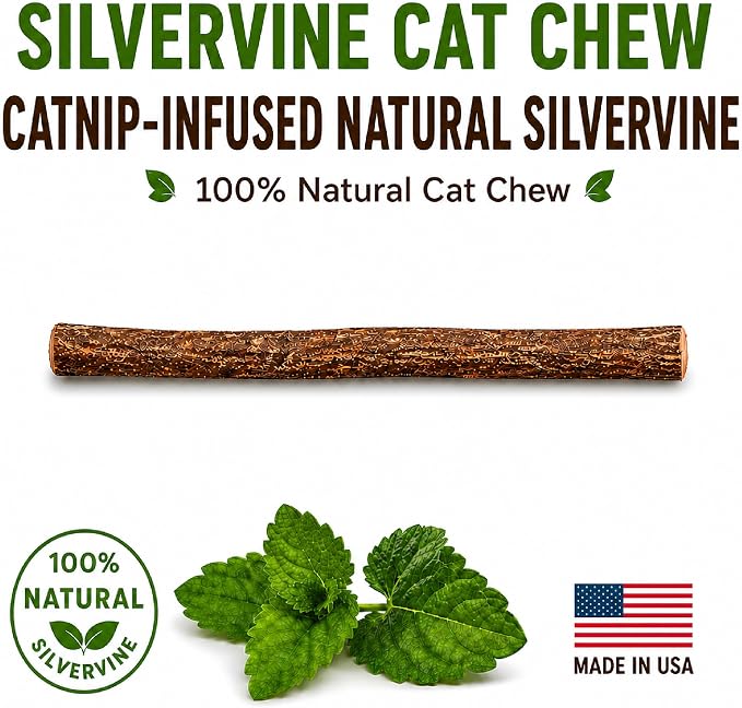 Silvervine Stick for Cats with Catnip Oil (1 Stick) - Matatabi Cat Chew Stick Dental Toy for Teeth Cleaning - Natural Kitten Teething Chew Toys for Indoor Cats - Made in USA