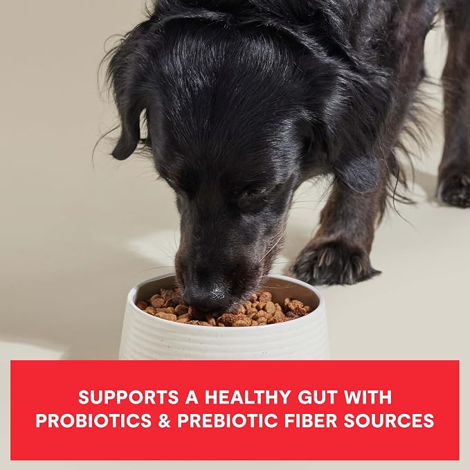 Open Farm, Epic Blend Grain Free High Protein Dry Dog Food, Probiotic Coated & Bone Broth Infused Kibble with Air Dried Meat & Organs, Beef & Superfood Recipe, 3.5lb Bag