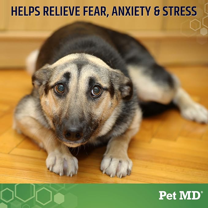 Pet MD Calming Chews for Dogs - Dog Calming Treats with Hemp & Melatonin - Calming, Anxiety Relief, & Separation Relaxant with Chamomile & L-Tryptophan - 120 CT