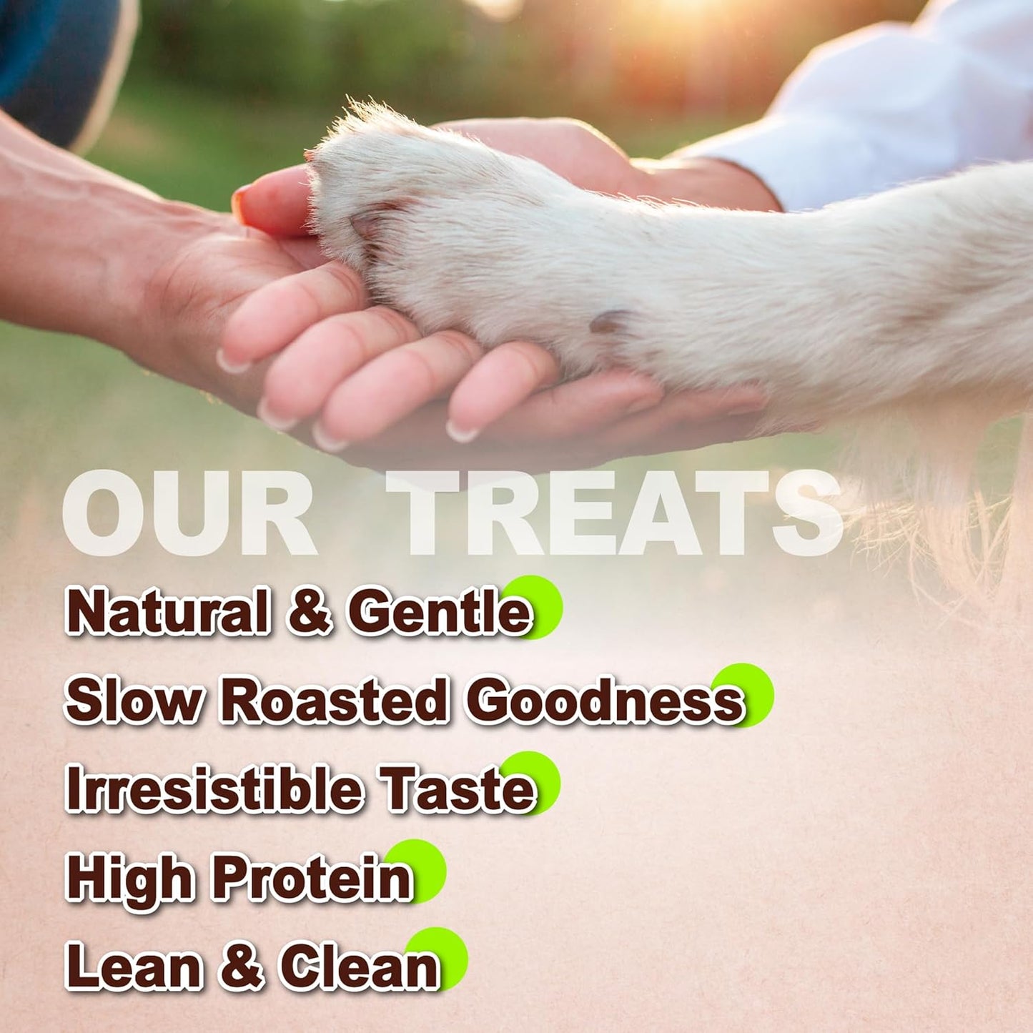 AFreschi Natural Chicken Fillet Jerky 16 oz, Dog Treats, All Natural, Grain-Free, High-Protein, Low Fat, Healthy & Easily Digestible