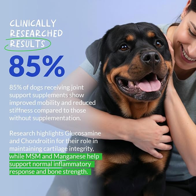 Hip & Joint for Dogs 120 Tablets - Glucosamine, MSM & Chondroitin | Glucosamine, Chondroitin & MSM formula. Supports hip & joint health, eases inflammation & acts as antioxidant.