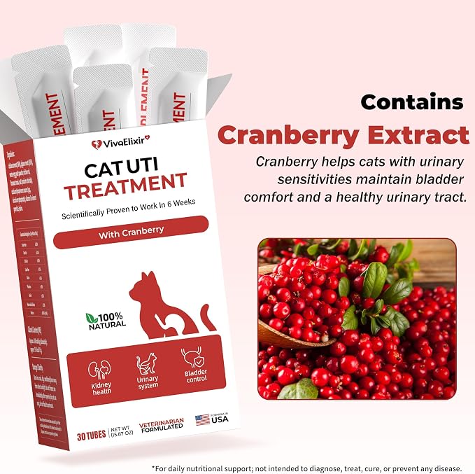 Cat UTI Treatment & Kidney Nutrition Supplement | Cranberry Powder for Cats | Low in Phosphorus & Salt | Supports Urinary Health | Easily Absorbed Protein | Suitable for Picky Cats - Bars 12g x 30