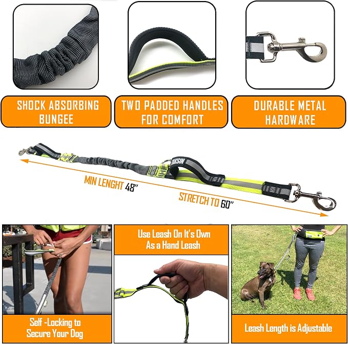 TAKSIN The Ultimate Hands Free Dog Leash System for Walking Running Hiking Training, Reflective Bungee Leash, Treat Holder, Poop Bag Dispenser for Small Medium Large Dogs (Grey Deluxe Pack)