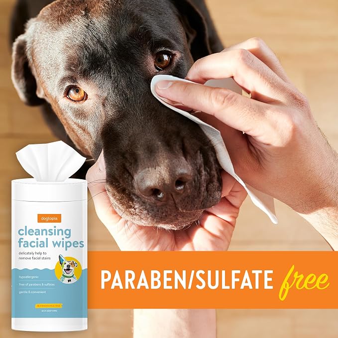 Dogtopia Blueberry Facial Cleansing Wash for Dogs (16oz) and Facial Wipes (60ct) Combo | Gently Remove Tear Stains | Remove Saliva Stains | Brighten and Whiten Coat | Daily Tear Stain Wipes
