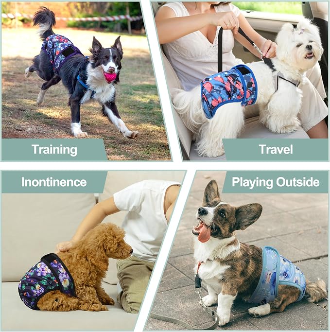 Female Dog Diapers 5Pcs - Premium Reusable Diapers for Doggie in Heat - Highly Absorbent Dog Diapers Female for Pet Incontinence with Adjustable Snaps, Rose, L