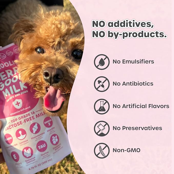 Choolip Berry Good Milk for Cats & Dogs – Lactose-Free Pet Milk Pouches – Vet-Formulated Hydrating Drink with Cranberry, CoQ10, Glucosamine & Omega-3 (200mL x 10 Pouches)