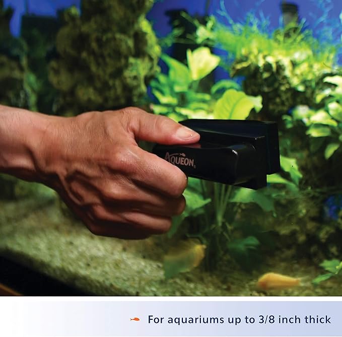 Aqueon Aquarium Algae Scraper, Fish Tank Cleaning Magnets for Glass/Acrylic, Medium (Pack of 3)