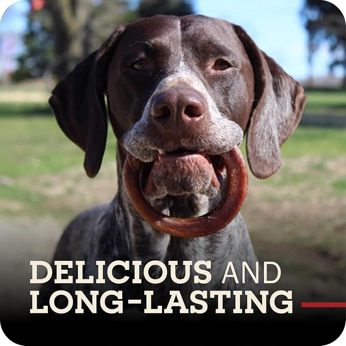 Redbarn Pet Products All-Natural 4" Bully Stick Rings for Dogs - Premium Grain-Free & Rawhide-Free Single Ingredient Long Lasting Low Odor Dental Treat for Chewers - 3 Count