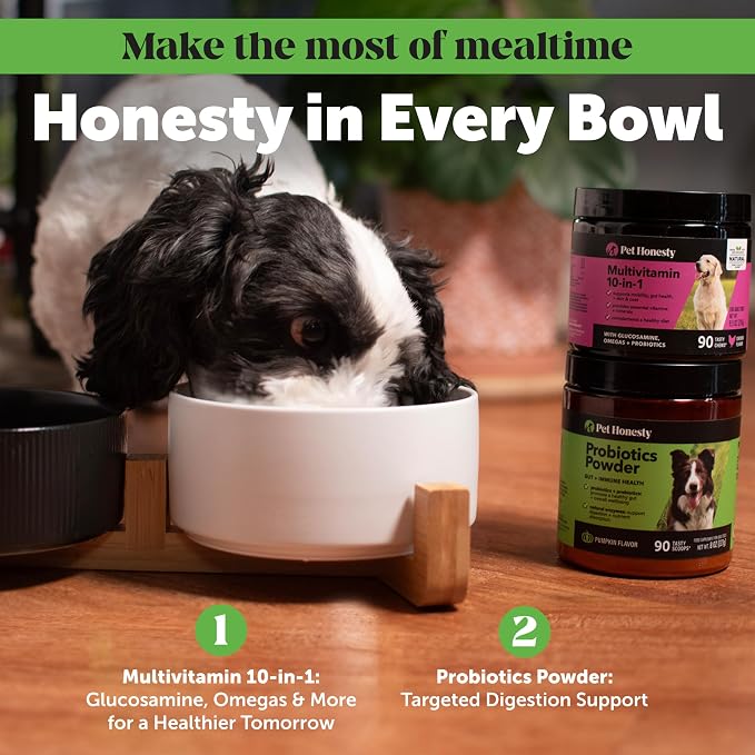 Dog Probiotic Powder with Digestive Enzymes + Prebiotics - Pumpkin Food Topper Supplement for Healthy Digestion, Sensitive Stomach, Gas Relief + Immune Support - Soluble Fiber for Dogs (90 Scoops)