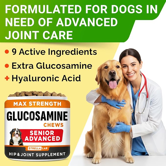 Senior Advanced Glucosamine Chondroitin Joint Supplement for Dogs - Hip & Joint Pain Relief Pills - Large & Small Breed - Hip Joint Chews Canine Joint Health - Dogs&Horses - Bacon Flavor-120Ct