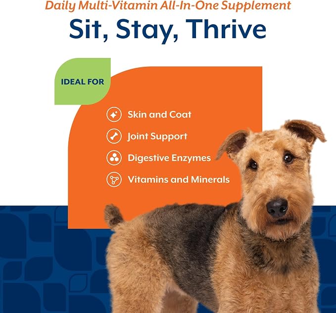 NaturVet All-in-One Dog Supplement - for Joint Support, Digestion, Skin, Coat Care – Dog Multivitamins with Minerals, Omega-3, 6, 9 – Wheat-Free Vitamins for Dogs – 60 Soft Chews