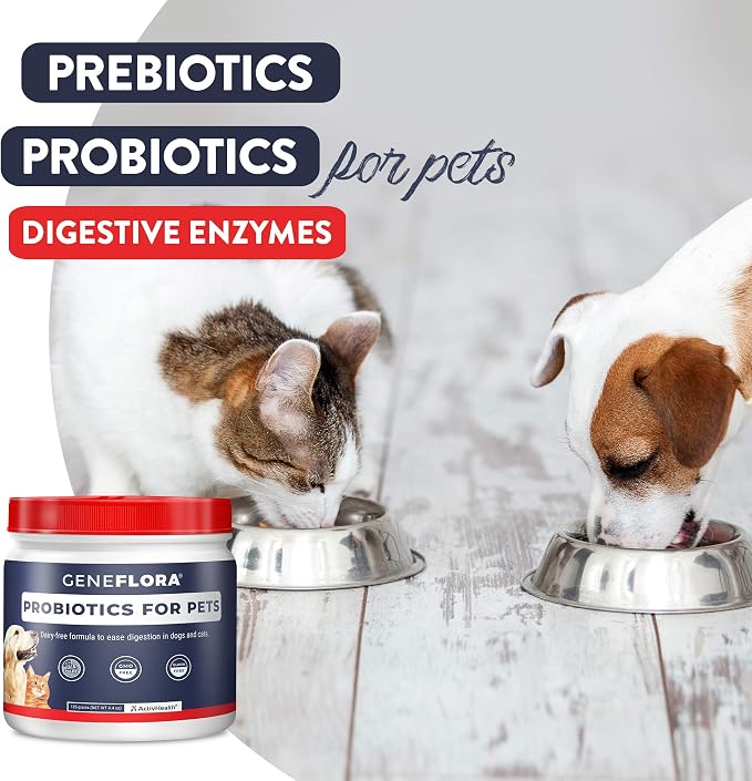 Geneflora Digestive Enzymes Prebiotics & Pet Probiotics for Dogs Powder, Cat, Rabbit, & Dog Probiotics for Digestive Support, 125 Grams, 2 Pack