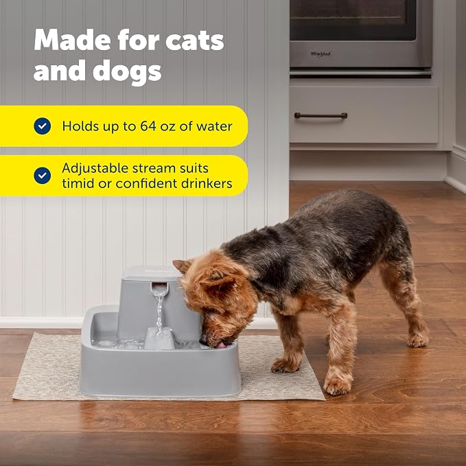 PetSafe Oasys 1/2 Gallon Pet Fountain for Cats and Small Dogs 1/2 Gallon Water Capacity Adjustable Flow Control Fresh, Filtered Water Easy to Clean - Extra Filters Included