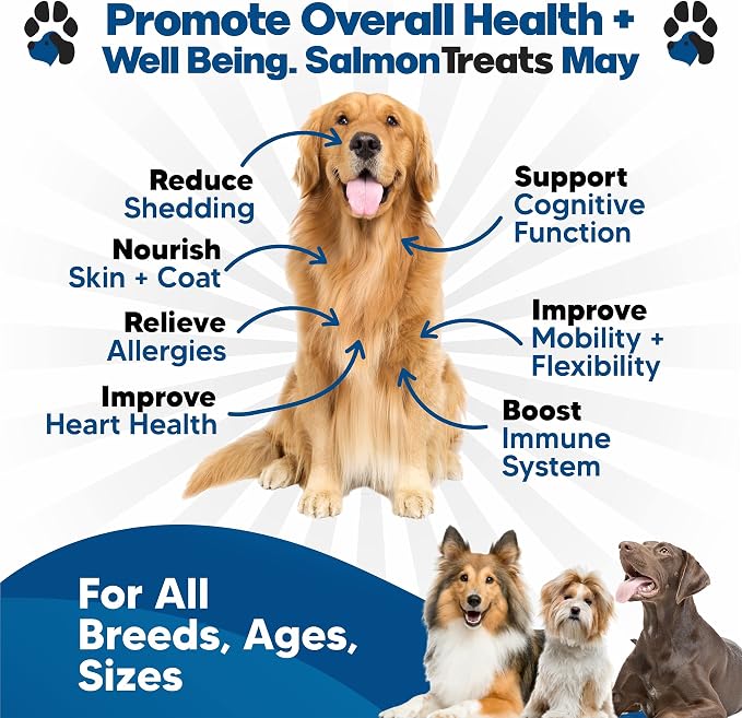 Plano Paws Wild Alaskan Salmon Oil for Dogs - Omega 3 Chews for Skin Coat Shedding Itch Relief - Supports Heart Mobility Cognition - 120 Soft Chews