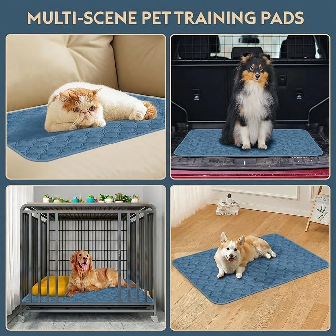 FunFurry Washable Pee Pads for Dogs - 2 Pack Reusable Pee Pads，Waterproof Puppy Pads，Pet Training Pads，Super Absorbent with Dog Paw Shape Non-Slip Backing (Blue, 36" X 41" - 2 Pack)