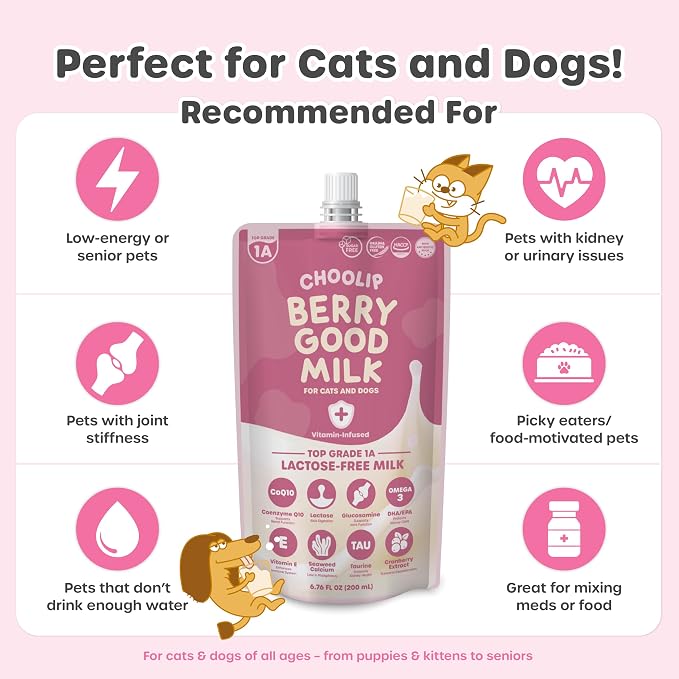 Choolip Berry Good Milk for Cats & Dogs – Lactose-Free Pet Milk Pouches – Vet-Formulated Hydrating Drink with Cranberry, CoQ10, Glucosamine & Omega-3 (200mL x 10 Pouches)