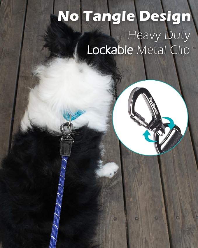 PetBonus Double Handle Rope Dog Leash and 2-Pack Large Silicone Collapsible Dog Bowls