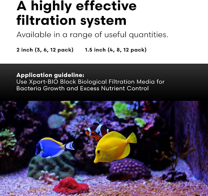 Brightwell Aquatics - Xport-BIO Block Aquarium Filter - Biological Filtration Media for Bacteria Growth, Nutrient Control & Control of Unwanted Nutrients - Aquarium Water Treatments, 4 Pack, 1.5 inch