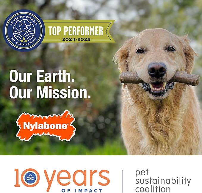 Nylabone Nubz Natural Dog Chew Treats for Puppies, Long Lasting Dog Chew Bones Made in USA, Puppy Training Treats, Turkey & Sweet Potato Flavor, for Small Dogs Up to 25 lbs. (8 Count)