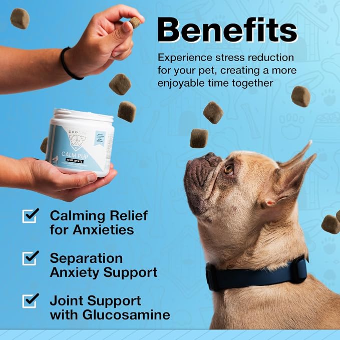 Calming Chews with Organic Hemp Oil| Dog Anxiety Relief & Travel Friendly| Glucosamine to Help with Join Support| 120 Soft Chews & up to 4-Month Supply
