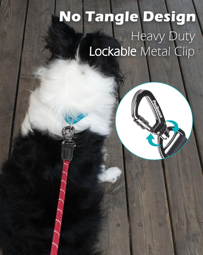 PetBonus Double Handle Rope Dog Leash and 2-Pack Large Silicone Collapsible Dog Bowls