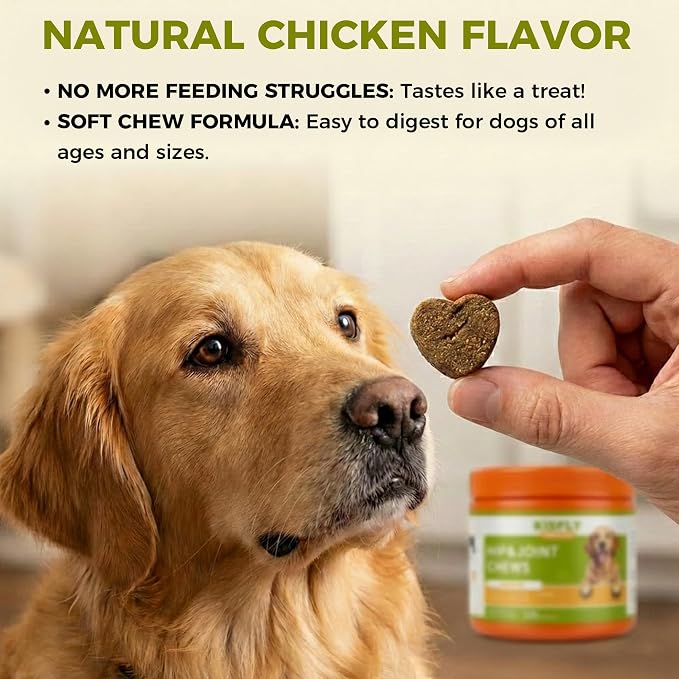 Hip & Joint Chews for Senior Dogs – Advanced Mobility Formula | Glucosamine, chondroitin & MSM soft chews support mobility, flexibility & daily activity for large and aging dogs.