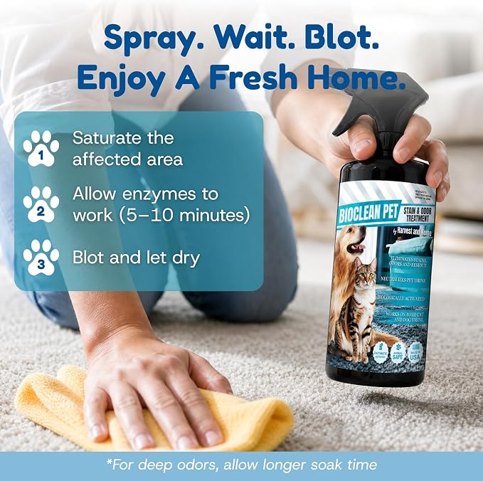 Bioclean Pet Carpet Cleaner & Deodorizer – Eliminates Pet Urine Smell, Stain & Odor Remover, No Residue, Made in USA – 16oz
