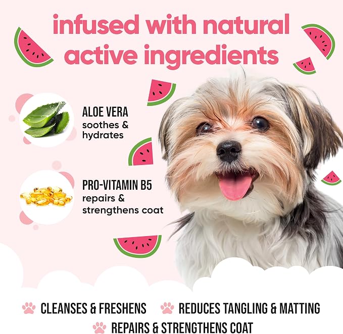 Watermelon Dog Shampoo by Buddycare | with Aloe Vera and Pro Vitamin B5 (50.72oz)