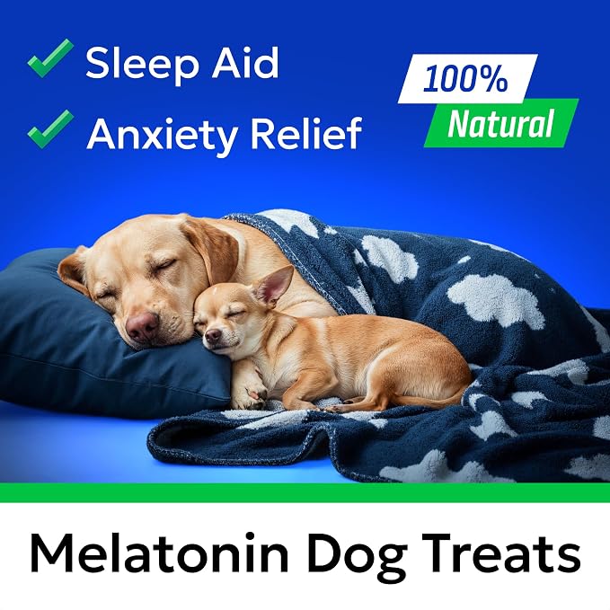 (MAX Strength) Calming Melatonin for Dogs to Sleep & Anxiety Aid - Calming Chews for Stress Anxiety Relief - Medium & Small Breeds - 6mg Doggie Sleeping Pills - 120 Treats