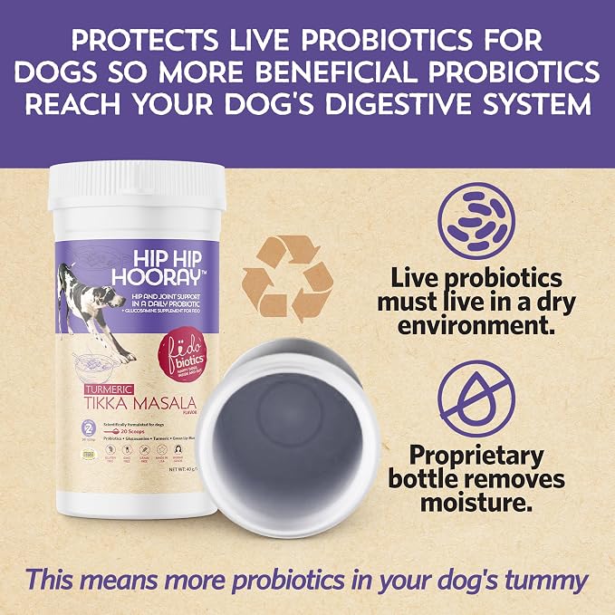 Fidobiotics Hip & Joint Support for Dogs with Probiotics – Glucosamine, Chondroitin, MSM & Green Lipped Mussel – Dog Joint Supplement Powder Food Topper for Mobility & Digestion (20 Servings)