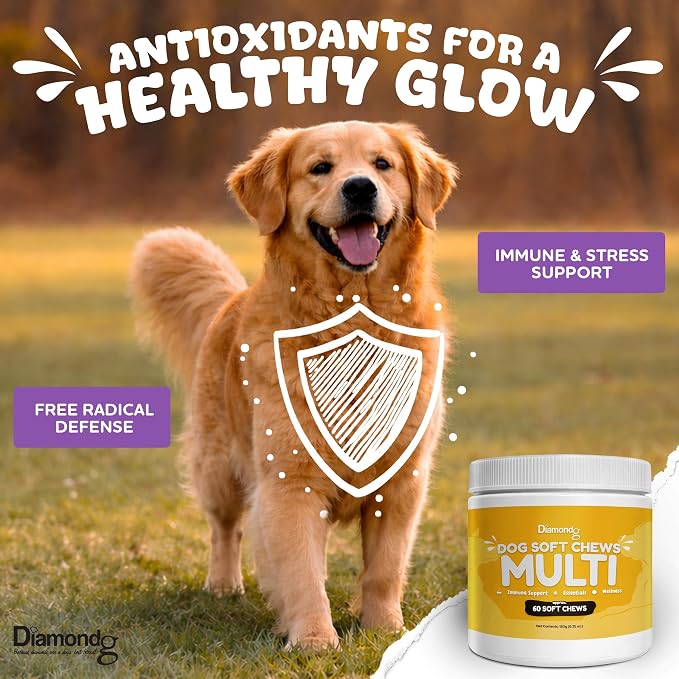 Diamondg Dog Mutivitamin Chews with Turkey Tail & Probiotics, 60ct - All in One Dog Nutritional and Health Supplement to Support Critical Immune Defense for Puppy & Senior, Daily Multivitamin for Dogs