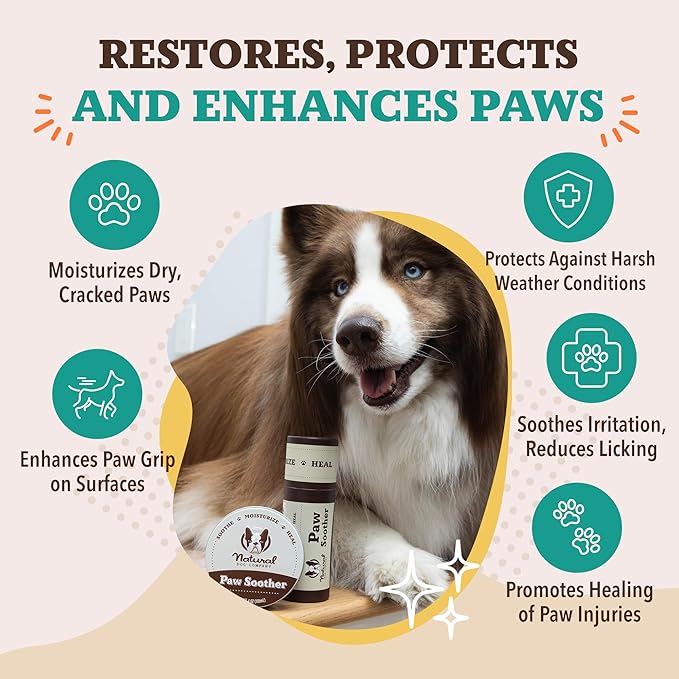 Natural Dog Company Paw Soother Dog Paw Balm, 2 oz Stick | Moisturizes Dry Cracked Paws, Coconut Oil & Calendula, For Walks, Hot Pavement, Beach, Hiking, Daily Paw Care